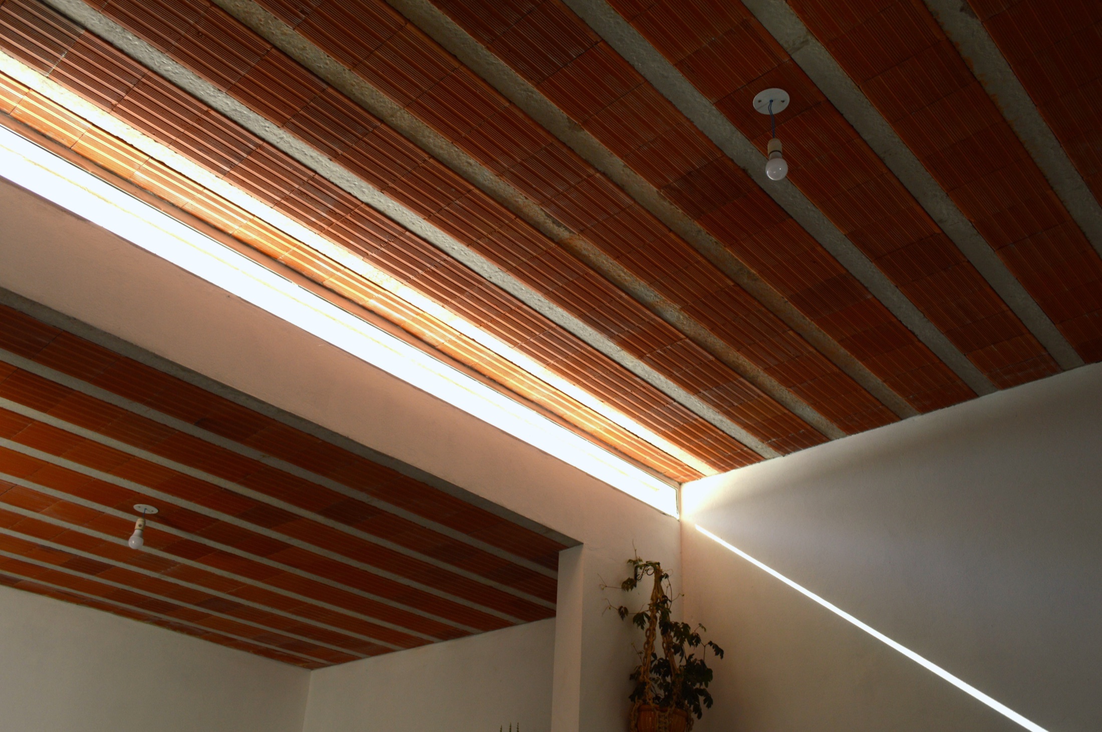 Techo cerámico y entrada alta de luz en Casa Malvi