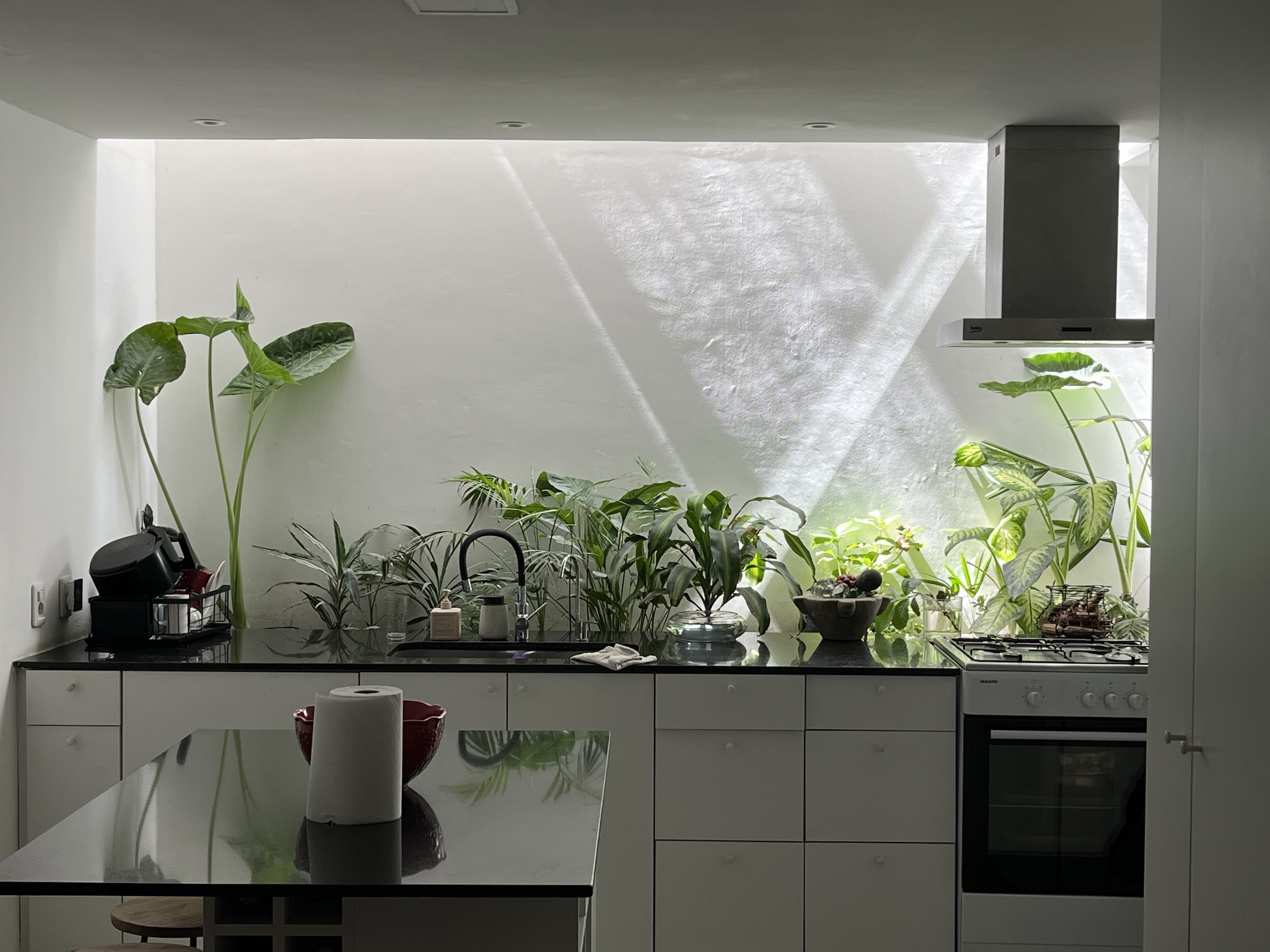 Cocina de Casa Maga iluminada por reflejos de agua y vegetación